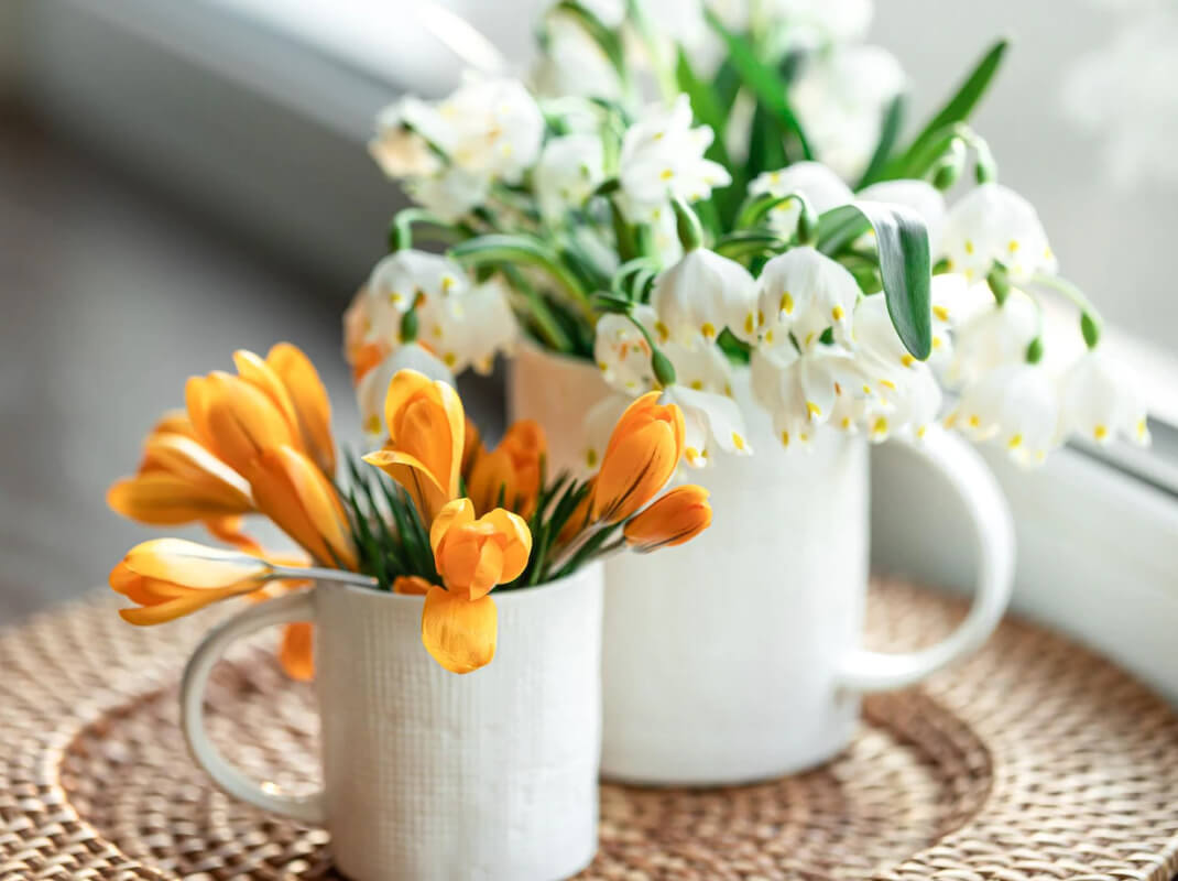 International Women’s Day gift suggestions